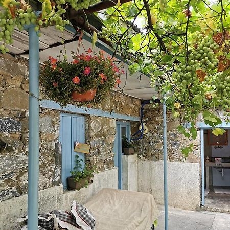 Holiday House Prodromos Exterior foto