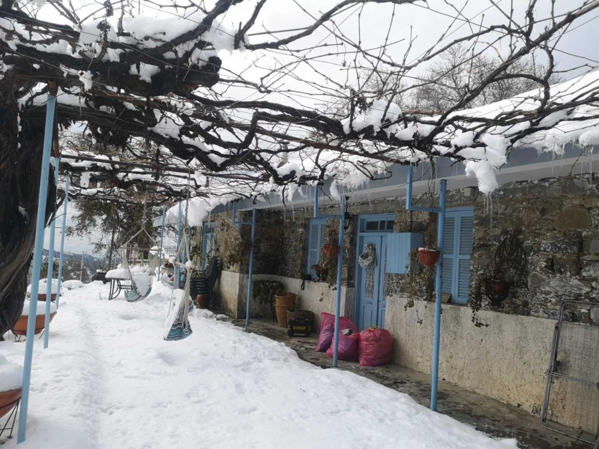 Holiday House Prodromos Exterior foto